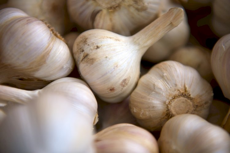 Tips And Benefits On How You Can Use Garlic For Hair Growth